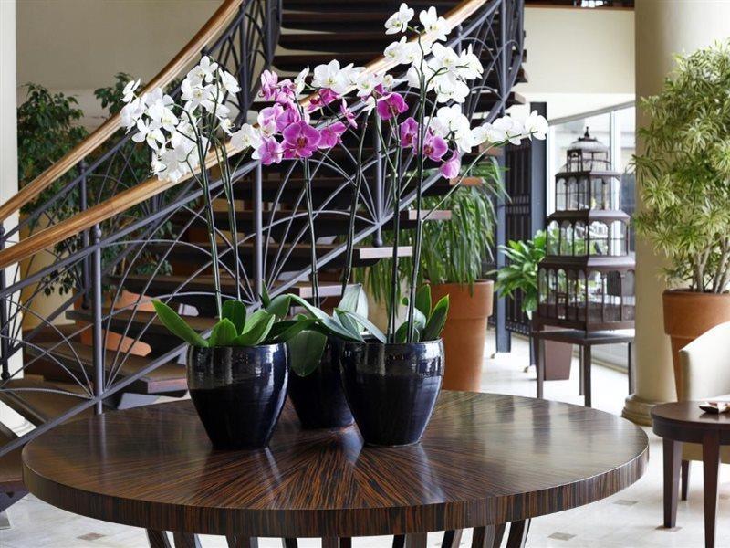 איסטמבול Cinar Hotel מראה חיצוני תמונה
