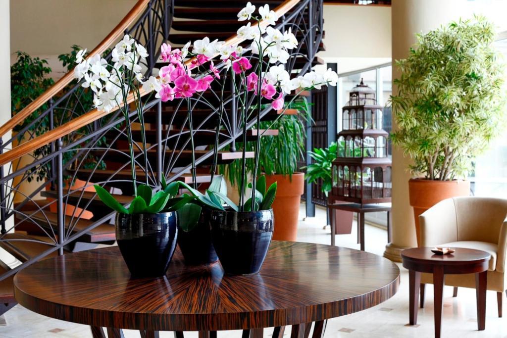 איסטמבול Cinar Hotel מראה חיצוני תמונה